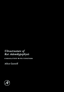 Ultrastructure of Rat Adenohypophysis - Costoff, Allen