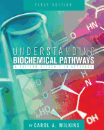 Understanding Biochemical Pathways: A Pattern-Recognition Approach