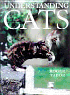 Understanding Cats