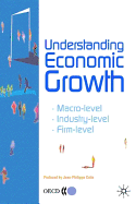 Understanding Economic Growth: *Macro-Level *Industry-Level * Firm-Level