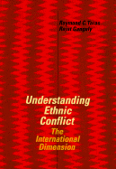 Understanding Ethnic Conflict: The International Dimension