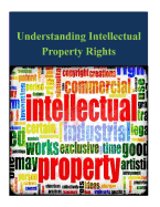 Understanding Intellectual Property Rights