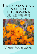 Understanding Natural Phenomena: Self-Organization and Emergence in Complex Systems