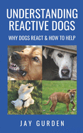 Understanding Reactive Dogs: Why Dogs React and How to Help