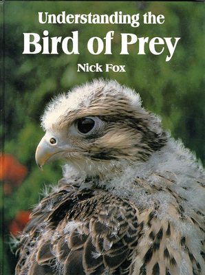 Understanding the Bird of Prey - Fox, Dr.