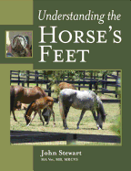 Understanding the Horse's Feet