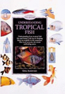 Understanding Tropical Fish - Sandford, Gina