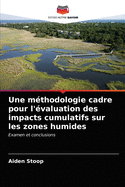 Une m?thodologie cadre pour l'?valuation des impacts cumulatifs sur les zones humides