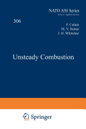 Unsteady Combustion