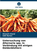 Untersuchung von Alternaria spp. in Verbindung mit einigen Doldenblutlern