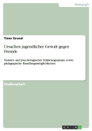 Ursachen jugendlicher Gewalt gegen Fremde: Sozialer und psychologischer Erkl?rungsansatz sowie p?dagogische Handlungsmglichkeiten - Grund, Timo