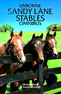 Usborne Sandy Land Stables Omnibus: A Horse for the Summer/The Runaway Pony/Stan