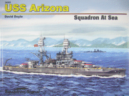 USS Arizona Squadron at Sea