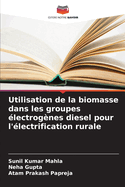 Utilisation de la biomasse dans les groupes lectrognes diesel pour l'lectrification rurale