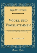 Vgel und Vogelstimmen: Anleitung zur Bestimmung Unserer Gefiederten Freunde nach Aussehen und Gesang (Classic Reprint)