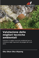 Valutazione delle migliori tecniche ambientali