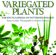 Variegated Plants: The Encyclopedia of Patterned Foliage - Conder, Susan, and Lawson, Andrew (Photographer)