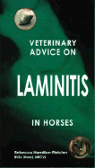 Veterinary Advice on Laminitis in Horses