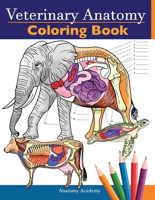 Veterinary Anatomy Coloring Book: Animals Physiology Self-Quiz Color Workbook for Studying and Relaxation Perfect gift For Vet Students and even Adults - Academy, Anatomy