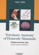 Veterinary Anatomy of Domestic Mammals