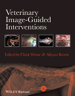 Veterinary Image-Guided Interventions