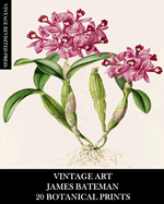 Vintage Art: James Bateman: 20 Botanical Prints: Orchid Ephemera for Framing, Home Decor, Collage and Decoupage