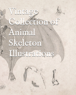 Vintage Collection of Animal Skeleton Illustrations