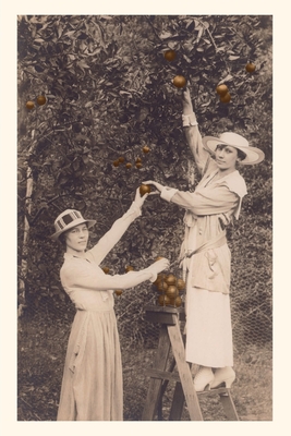 Vintage Journal Women Picking Oranges - Found Image Press (Producer)