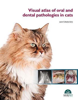 Visual Atlas of Oral and Dental Pathologies in Cats - Soto, Javier Collados