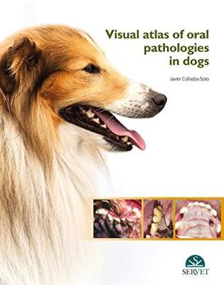 Visual Atlas of Oral Pathologies in Dogs - Soto, Javier Collados
