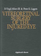 Vitreoretinal Surgery of the Injured Eye