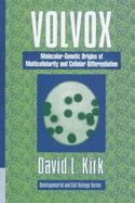 Volvox: A Search for the Molecular and Genetic Origins of Multicellularity and Cellular Differentiation