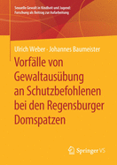 Vorf?lle Von Gewaltaus?bung an Schutzbefohlenen Bei Den Regensburger Domspatzen