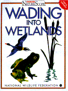 Wading Into Wetlands