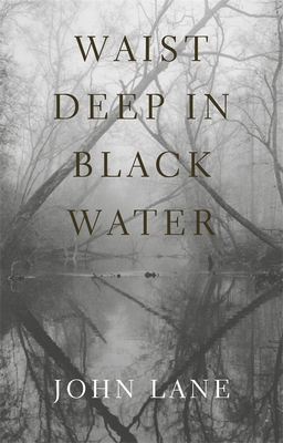 Waist Deep in Black Water - Lane, John
