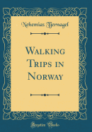 Walking Trips in Norway (Classic Reprint)