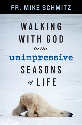 Walking with God in the Unimpressive Seasons of Life - Schmitz, Mike, Fr.