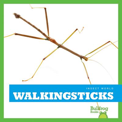 Walkingsticks - Schuh, Mari C