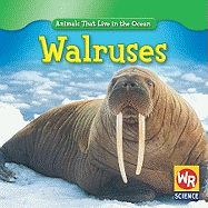 Walruses