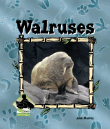 Walruses