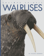 Walruses