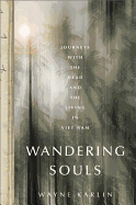 Wandering Souls: Journeys with the Dead and the Living in Vietnam