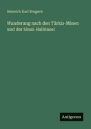 Wanderung nach den Trkis-Minen und der Sinai-Halbinsel