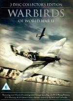 Warbirds of WWII