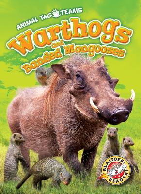 Warthogs and Banded Mongooses - Schuetz, Kari