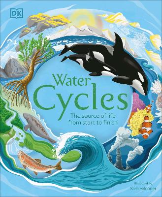 Water Cycles - DK