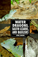 Water Dragons, Sailfin Lizards