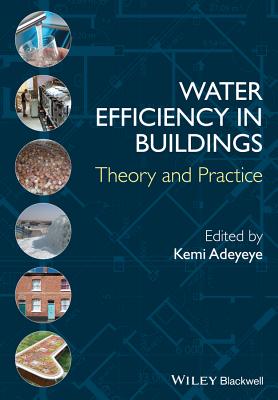 Water Efficiency in Buildings: Theory and Practice - Adeyeye, Kemi (Editor)