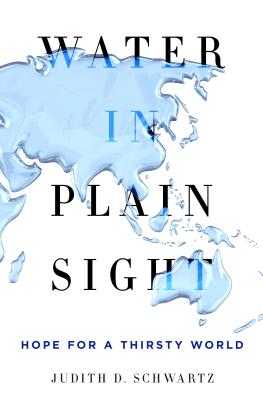 Water in Plain Sight: Hope for a Thirsty World - Schwartz, Judith D