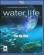 Water Life: The Big Blue [Blu-ray]
